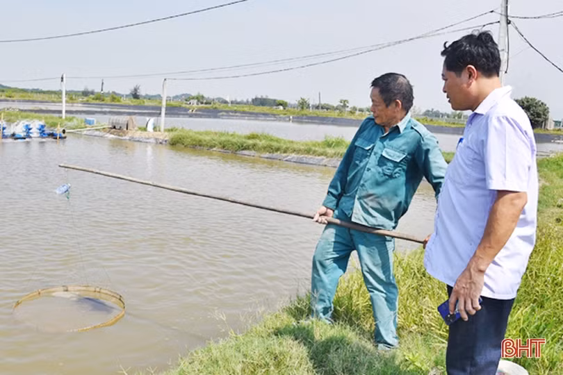 Người bệnh binh “còn sức còn cống hiến, còn làm việc”