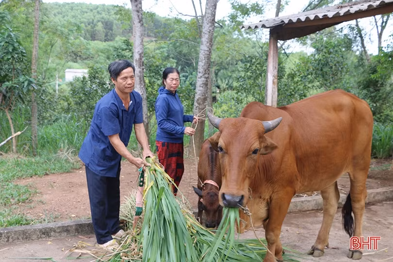 Nghị lực vượt khó của đôi vợ chồng khiếm thị
