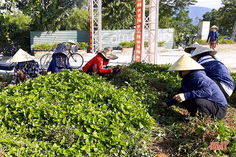 Dấu ấn các nữ thủ lĩnh” trong phong trào xây dựng nông thôn mới