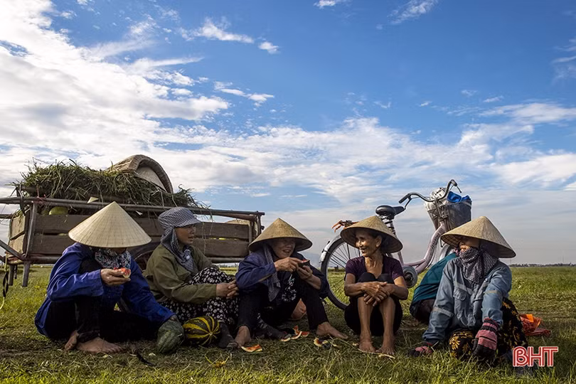Lao động Hà Tĩnh nhọc nhằn mưu sinh dưới nắng đổ lửa