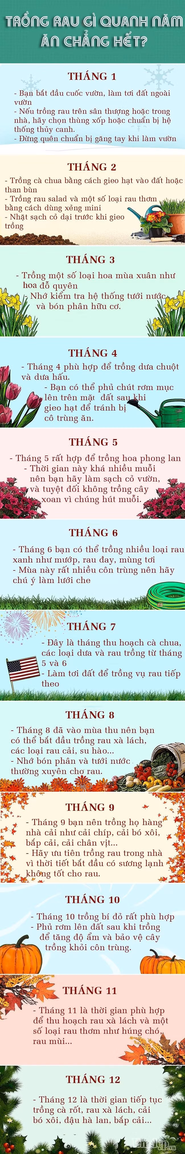 Trồng rau gì ăn quanh năm chẳng hết?