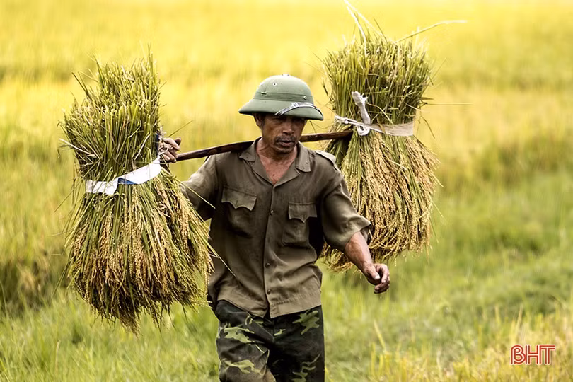 Lao động Hà Tĩnh nhọc nhằn mưu sinh dưới nắng đổ lửa
