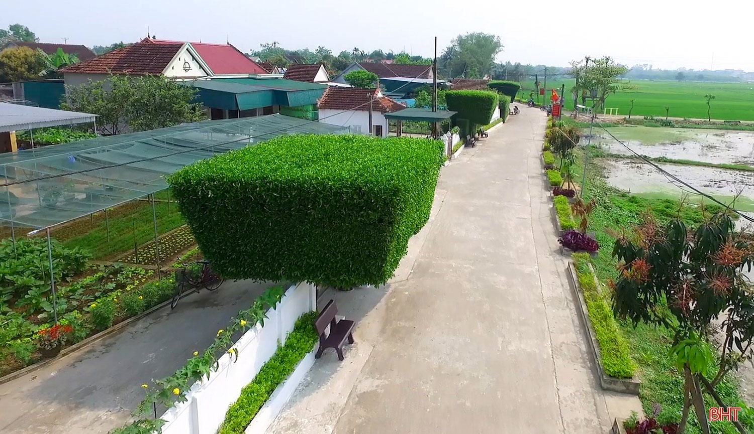 Thi đua hành động từ trái tim yêu nước