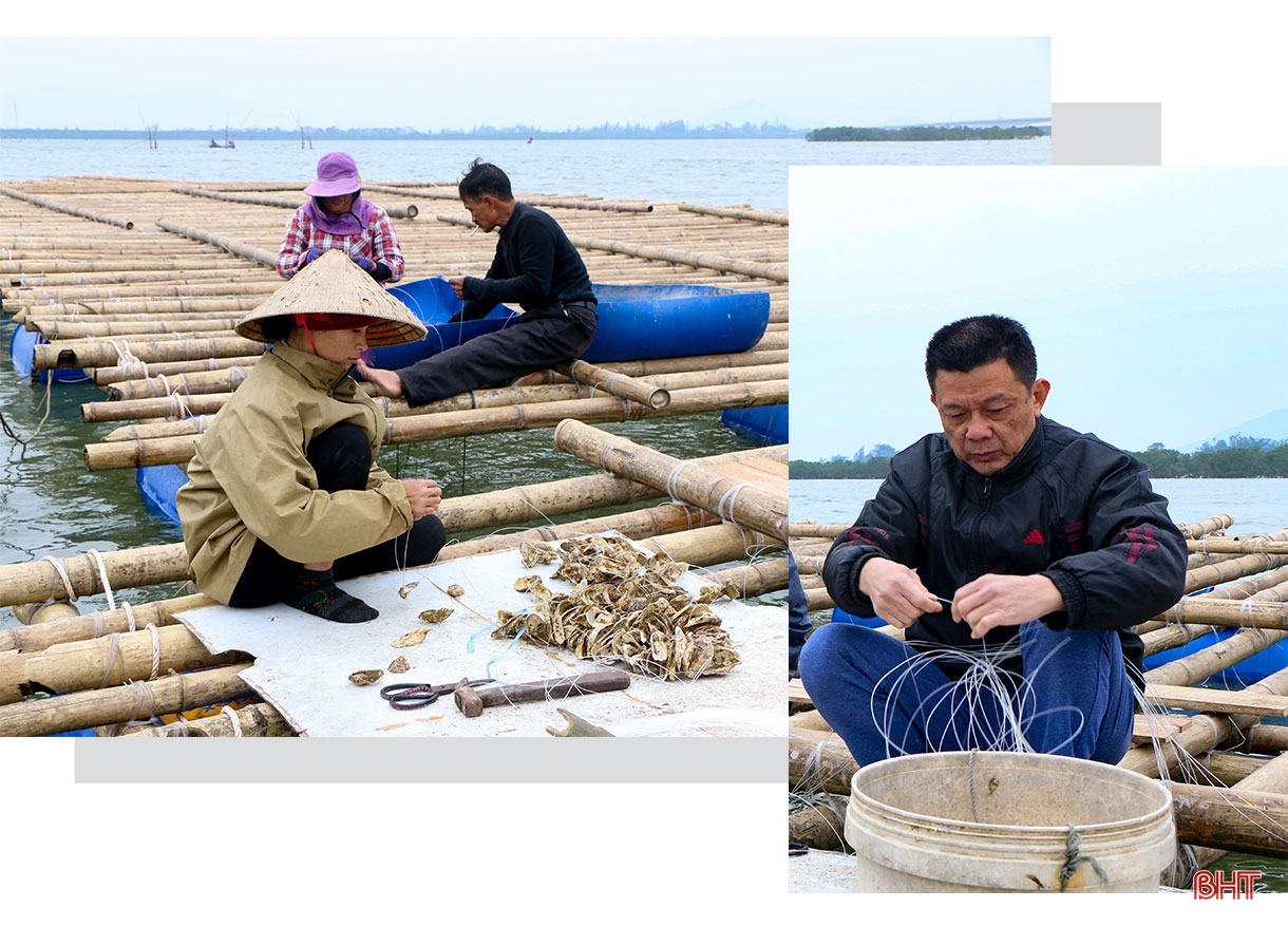 Đi tìm giá trị “lõi” cho nông nghiệp đô thị TP Hà Tĩnh (bài 2): “Bẻ lái” tư duy, phát triển nông nghiệp đô thị bền vững