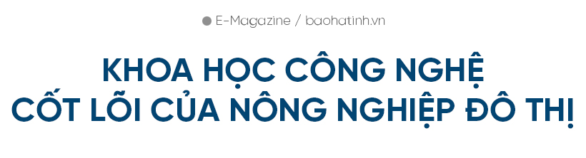Đi tìm giá trị “lõi” cho nông nghiệp đô thị TP Hà Tĩnh (bài 2): “Bẻ lái” tư duy, phát triển nông nghiệp đô thị bền vững