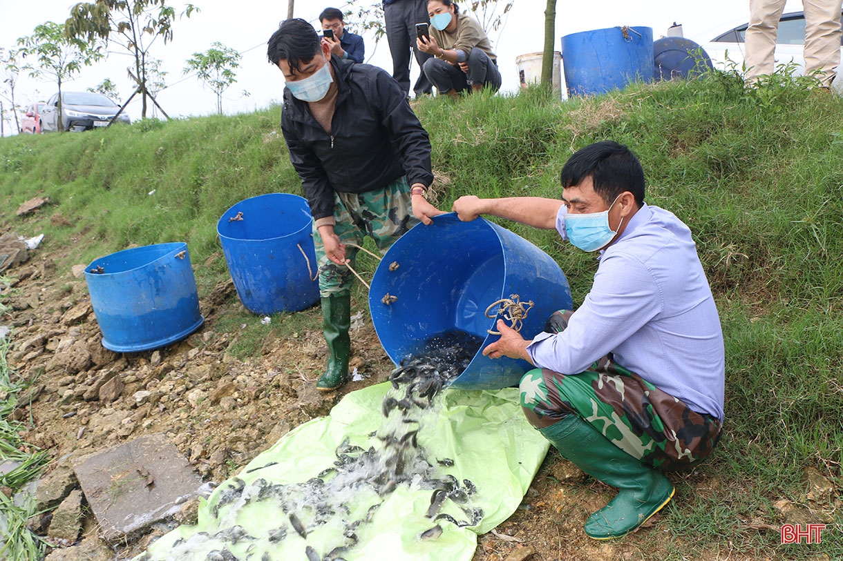 Đi tìm giá trị “lõi” cho nông nghiệp đô thị TP Hà Tĩnh (bài 2): “Bẻ lái” tư duy, phát triển nông nghiệp đô thị bền vững