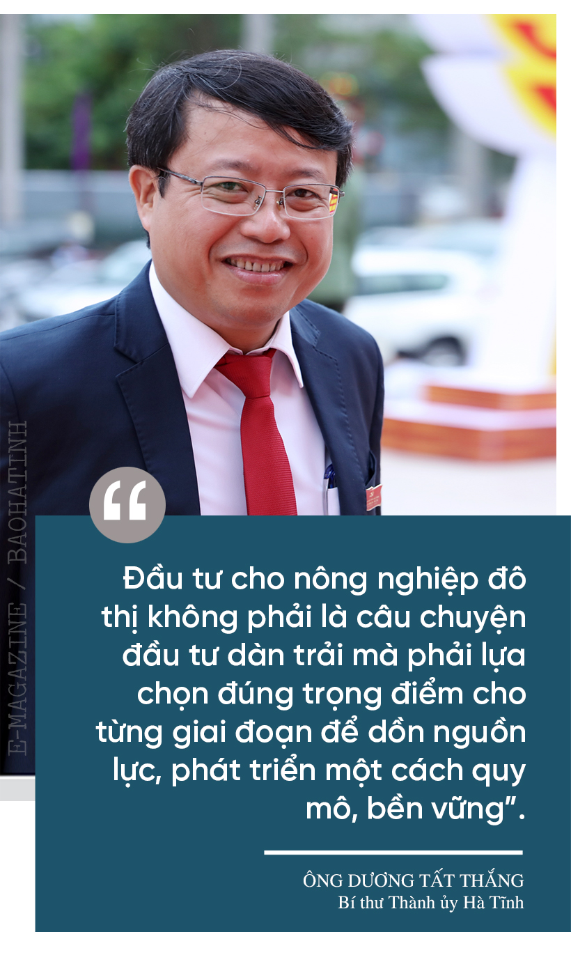 Đi tìm giá trị “lõi” cho nông nghiệp đô thị TP Hà Tĩnh (bài 2): “Bẻ lái” tư duy, phát triển nông nghiệp đô thị bền vững