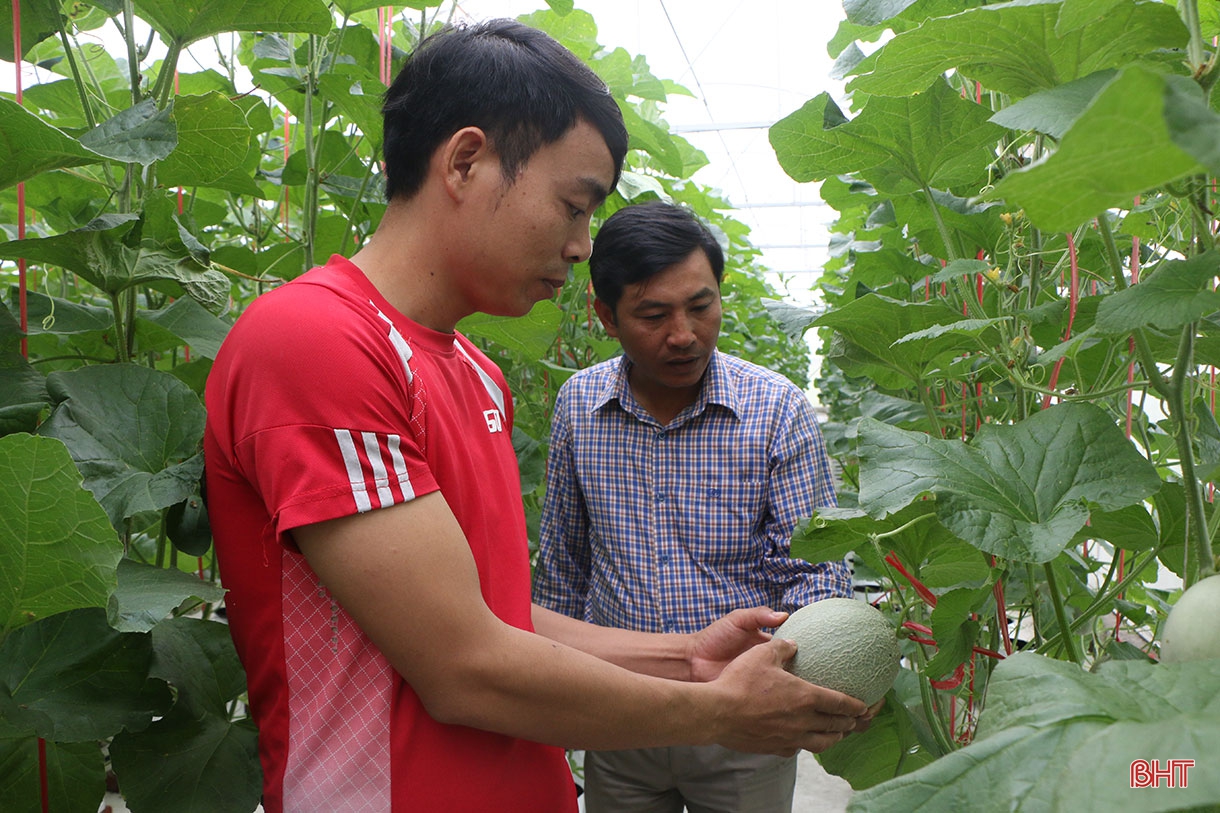 Đi tìm giá trị “lõi” cho nông nghiệp đô thị TP Hà Tĩnh (bài 2): “Bẻ lái” tư duy, phát triển nông nghiệp đô thị bền vững