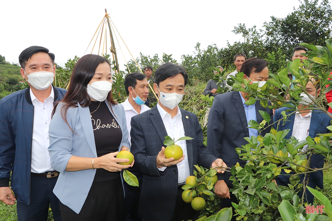 Vũ Quang cần xây dựng các tour, tuyến du lịch sinh thái, trải nghiệm nông thôn mới