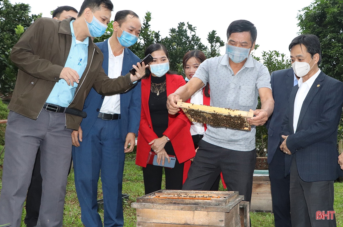 Vũ Quang cần xây dựng các tour, tuyến du lịch sinh thái, trải nghiệm nông thôn mới