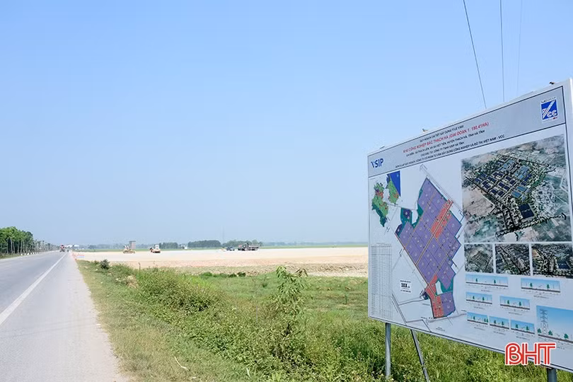 444.jpg