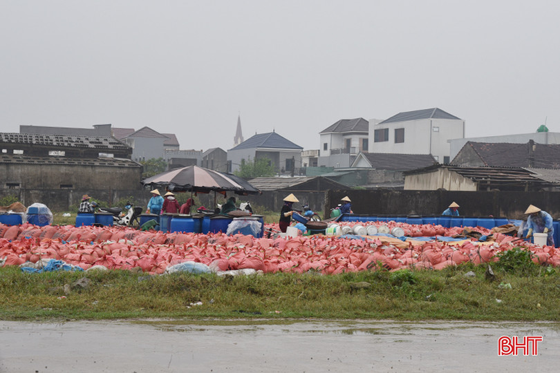 DSC_4426 - Copy.JPG