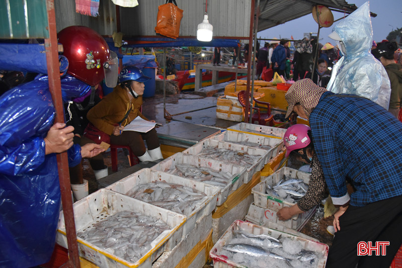 DSC_8964 - Copy.JPG