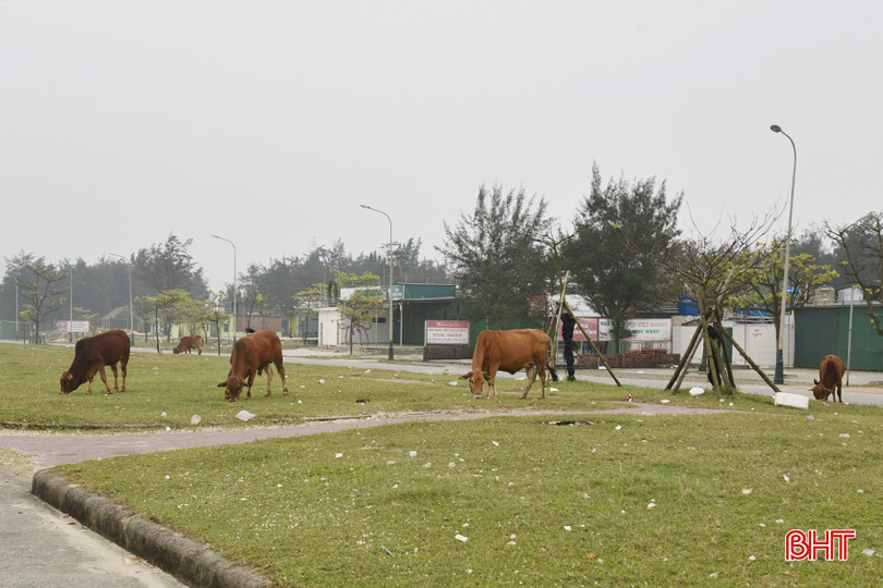 DSC_3097 - Copy.JPG
