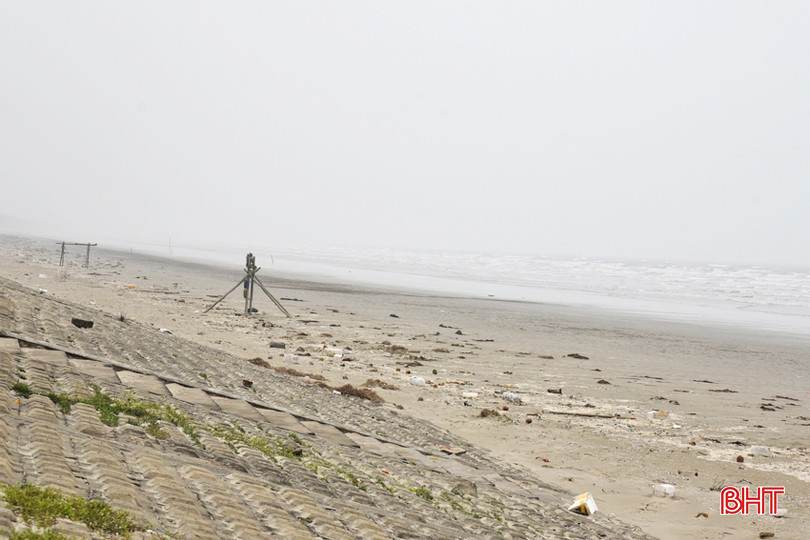 DSC_3099 - Copy.JPG