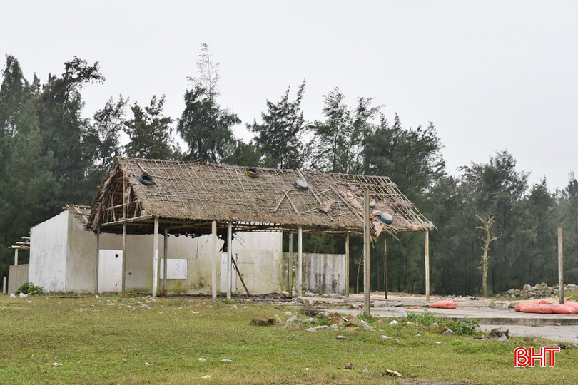 DSC_3087 - Copy.JPG