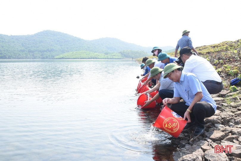 DSC_4143 - Copy.JPG