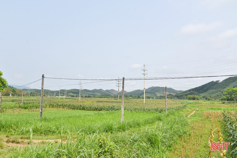 DSC_4639 - Copy.JPG