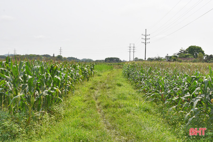 DSC_4566 - Copy.JPG