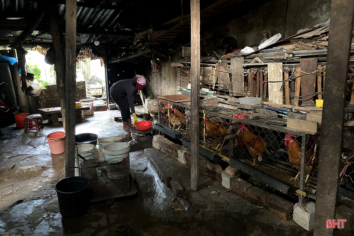 Cần có phương án xử lý các khu tập thể xuống cấp, không còn sử dụng ở TP Hà Tĩnh