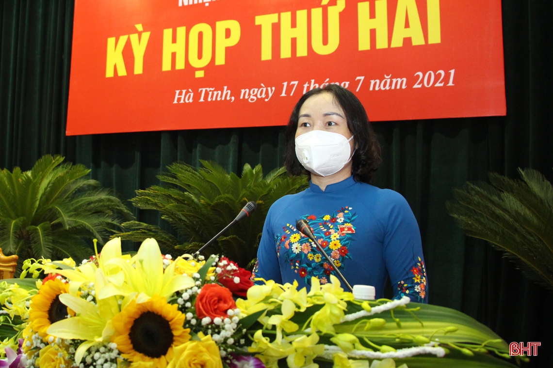 Đại biểu HĐND tỉnh Hà Tĩnh thảo luận nhiệm vụ phát triển kinh tế - xã hội