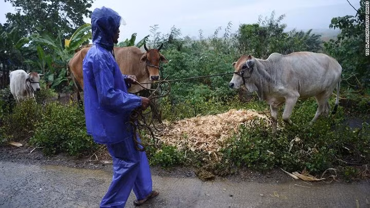 Siêu bão Mangkhut càn quét, làm đảo lộn cuộc sống của người dân Philippines
