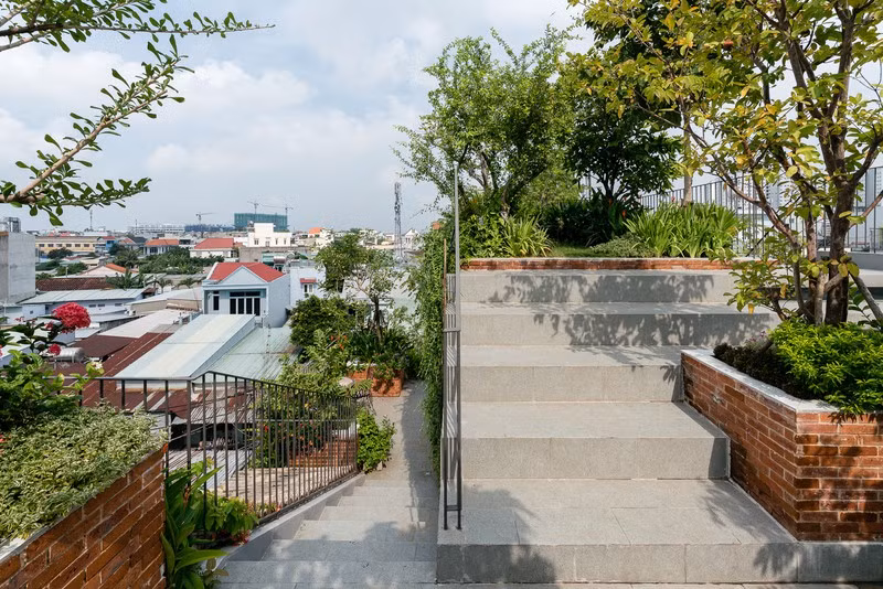 Nhờ có sân thượng trồng cây mà nhà phố xanh y như nhà vườn