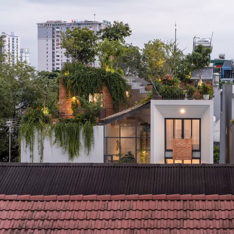 Nhờ có sân thượng trồng cây mà nhà phố xanh y như nhà vườn
