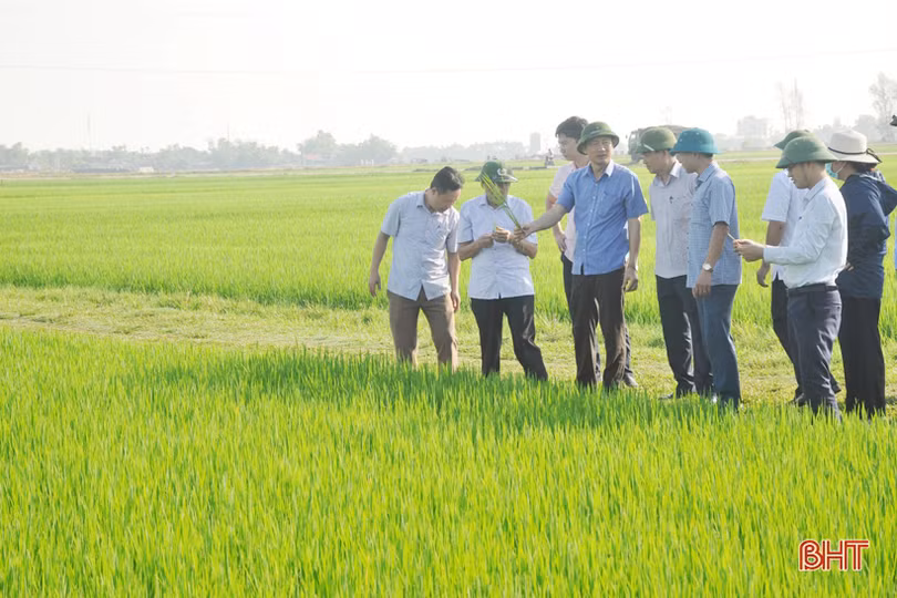 Khẩn trương nạo vét hồ đập thủy lợi phục vụ chống hạn