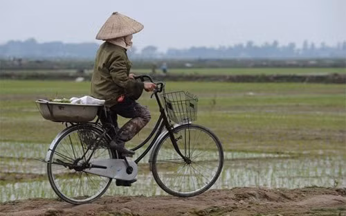 hang loat doi tuong duoc mien thue dat nong nghiep
