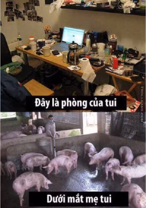 10 anh hai hot nhat facebook trong ngay