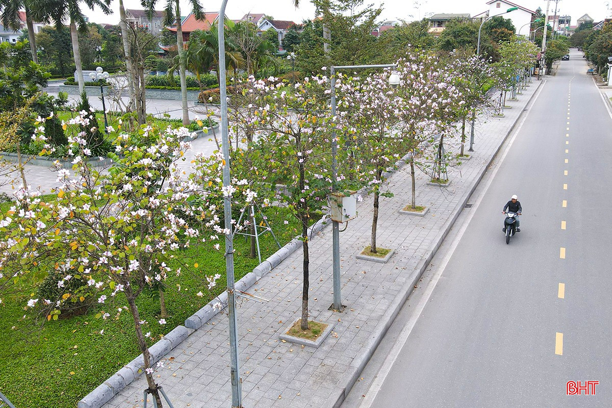bqbht_br_adji-0036.jpg