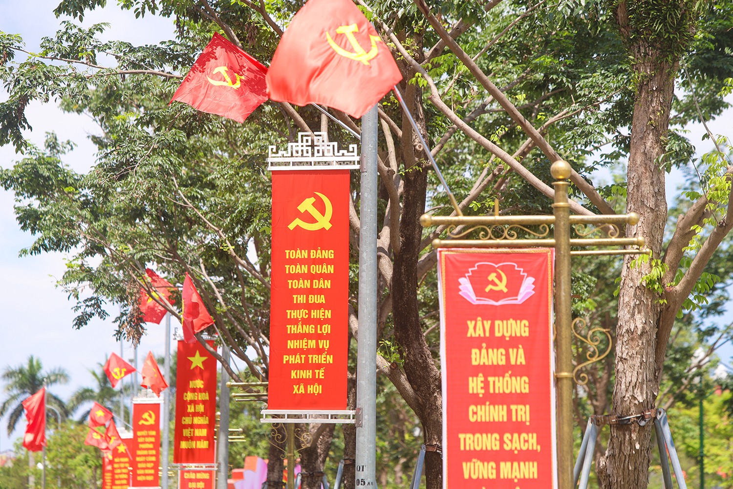 aimg-2138.jpg