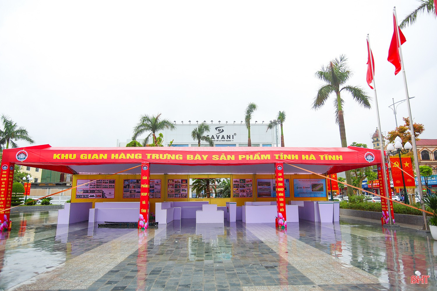 bqbht_br_aimg-2439.jpg