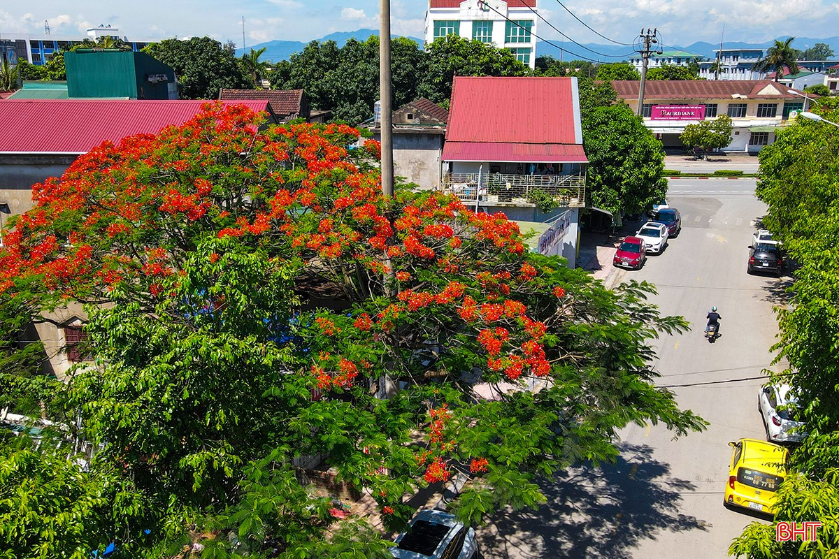 bqbht_br_adji-0920.jpg