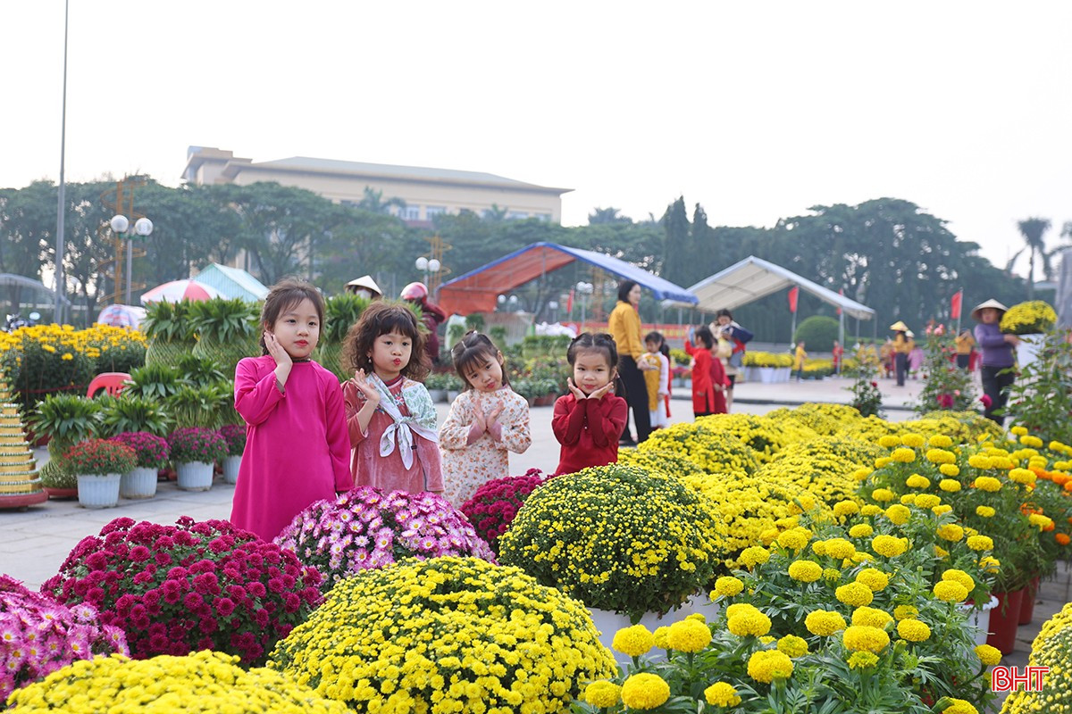 bqbht_br_aimg-1210.jpg