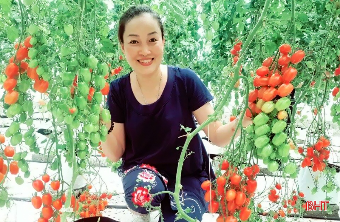 muc so thi trang trai trong rau thuy canh lon nhat ha tinh