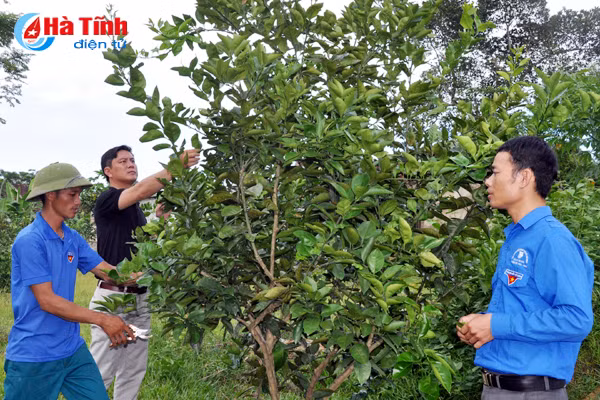 sang tao trong tap hop doan ket thanh nien ton giao