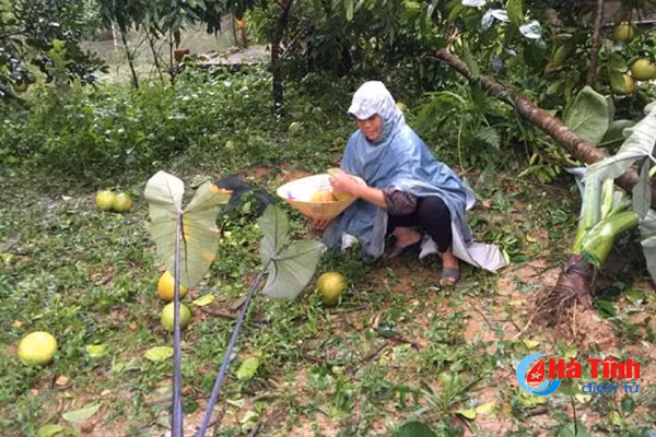 [Mới nhất] Siêu bão số 10 khiến gần 70.000 nhà dân Hà Tĩnh bị đổ, tốc mái