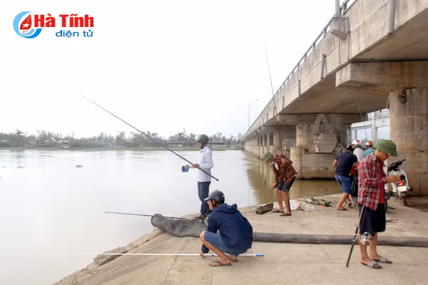sau mua bao cac can thu tro tai cau ca