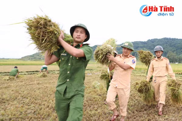 hoi ha gat lua chay bao