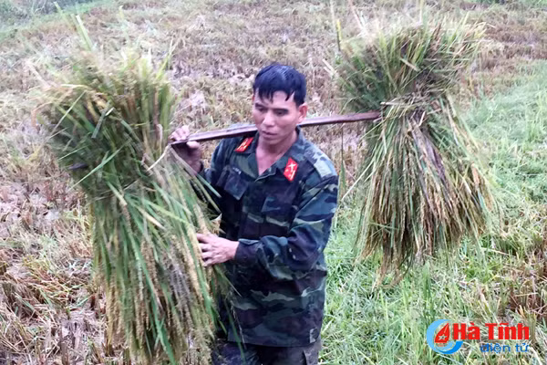 hoi ha gat lua chay bao