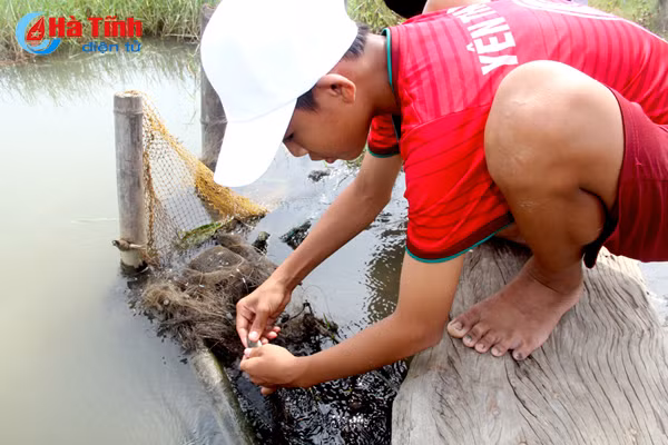 sau mua bao cac can thu tro tai cau ca