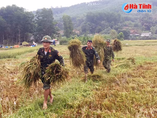 hoi ha gat lua chay bao