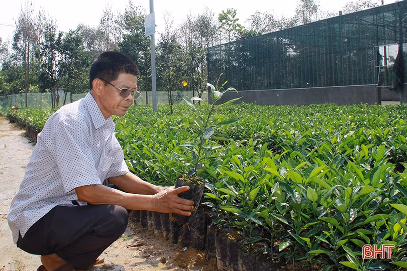 Về Hà Tĩnh, xem nông dân “hi-tech” làm kinh tế