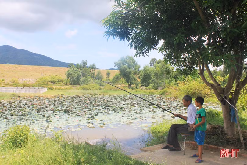 Cựu lính Hà Tĩnh tự mình đắp đập, biến “vùng đất chết” thành xóm Trại trù phú