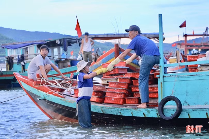 Ngư dân được mùa cá đốm, chợ Cồn Gò tấp nập kẻ bán người mua
