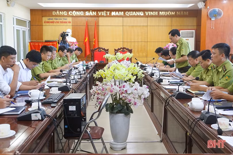 Hà Tĩnh đề nghị sớm bố trí đủ kinh phí thực hiện các chỉ tiêu, kế hoạch bảo vệ và phát triển rừng 
