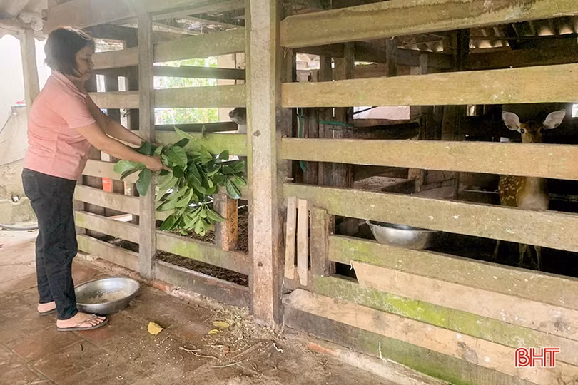 Phụ nữ Hà Tĩnh góp phần gìn giữ, vun đắp giá trị tốt đẹp của gia đình Việt
