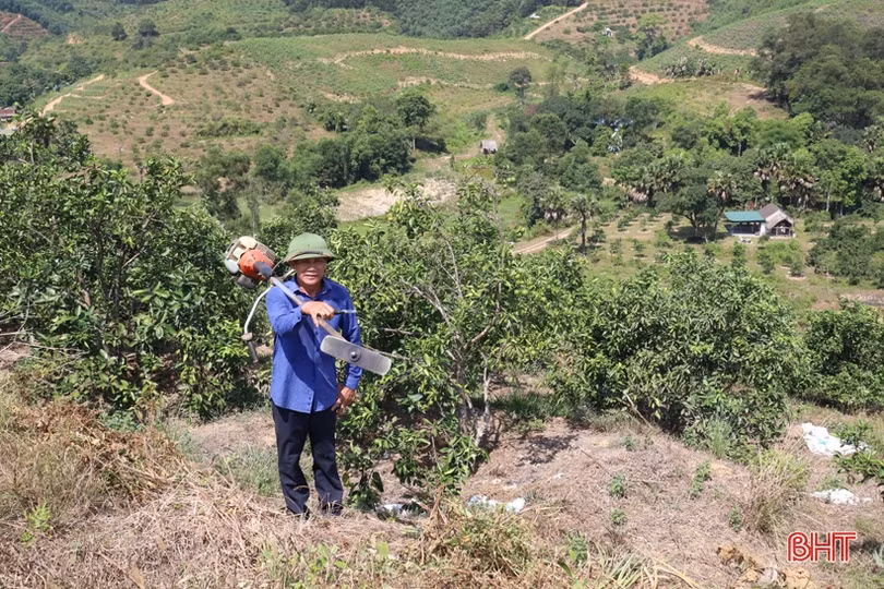 Trang trại hơn 15ha doanh thu hàng tỷ đồng của cựu chiến binh ở Hương Sơn